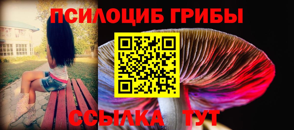Галлюциногенные грибы GOLDEN TEACHER  Вход с VPN  цена   Кольчугино 