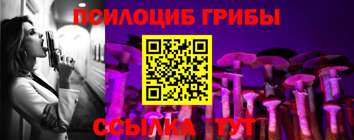 Псилоцибиновые грибы прущие грибы Кольчугино